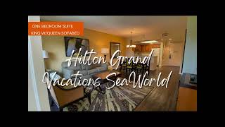 1 bedroom suite Hilton Grand Vacations SeaWorld [upl. by Eilah363]