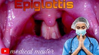 Functions of Epiglottis [upl. by Ahsikyt]