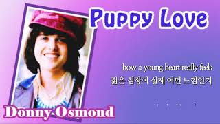 Puppy Love  Donny Osmond with Lyrics amp 가사 해석 [upl. by Ieppet]