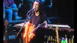 David Byrne AcousticA 1994  712 Sad Song [upl. by Nawuq]