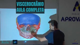 Osteologia do Crânio  Viscerocrânio Ossos da Face  AULA 7 [upl. by Antone463]