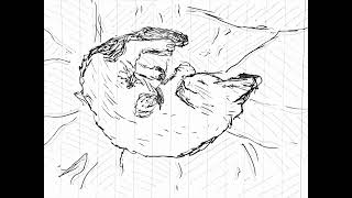 Sleeping cat [upl. by Nosreffej]