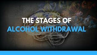 The Stages of Alcohol Withdrawal [upl. by Aleahc730]