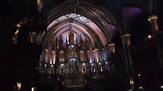 The Aura Experience  NotreDame Basilica Montreal [upl. by Atelokin]