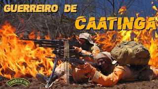 GUERREIRO DE CAATINGA  CANÇÕES DE TFM [upl. by Bennink]