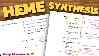 Heme Synthesis Pathway  Easy Mnemonic  Biochemistry [upl. by Anahsat]