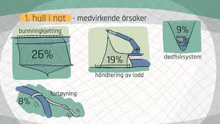 Årsaker til rømming av fisk [upl. by Alverson]