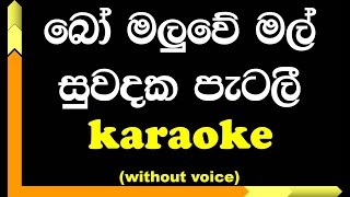 Bo Maluwe Mal Suwadaka  Karaoke  Without Voice  with Lyrics [upl. by Chesney105]