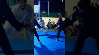 PENCAK SiLAT PSHT VS PAGAR NUSA [upl. by Ykcin]