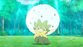 Gossifleur and Eldegoss Pokemon all Attacks pokemon gossifleur eldegoss attacks youtubevideo [upl. by Nahamas903]