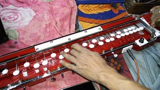 How To Play Banjo For Beginner Starting Guide Hindi [upl. by Aihsem]