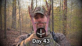 PUBLIC LAND TURKEY HUNT HARD GOBBLING LIMBHANGER KY GOBBLERS Pinhoti Project Day 43 [upl. by Milly343]