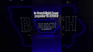 Custom Busch Light Iowas Beer Neon Sign Tube Neon Light [upl. by Drislane732]