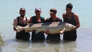 Pêche de lesturgeon en amis [upl. by Hillell665]