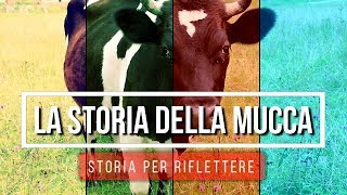 La Storia Della Mucca  Storia Per Riflettere Sulla Vita [upl. by Kristin]