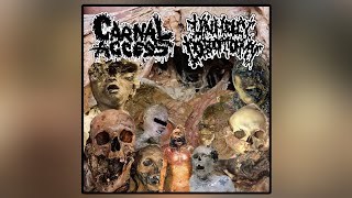 Carnal Access Unholy Lobotomy split Goregrind [upl. by Dotson]