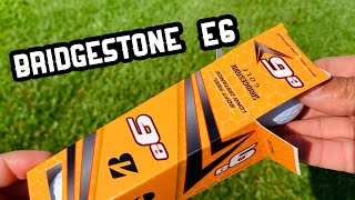 Bridgestone e6 vs ProV1X  Golf Ball Review [upl. by Aizirtap6]