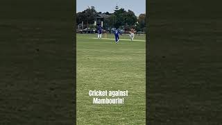 Cricket against mambourin cricket cricketbowler runningbetweenwickets kohli [upl. by Mareah]