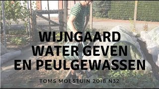 TM1832  Wijngaard water geven en mijn peulgewassen [upl. by Udall]