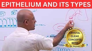 Epithelium and its Types🩺 [upl. by Ruperto219]