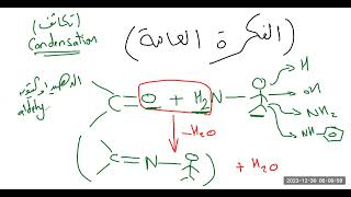 تفاعلات الألدهيدات والكيتونات مع مشتقات امونيا Reaction of aldehydes amp ketones with NH3 derivatives [upl. by Prince]