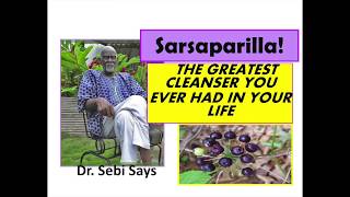 Why Sarsaparilla is the Sparkplug of the Body Dr Sebi [upl. by Aeli]