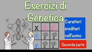 Esercizi di genetica umana  leggi di Mendel e quadrato di Punnett 2 [upl. by Latihs323]