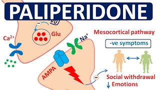 Paliperidone extended release tablets and IM injection [upl. by Ermey359]