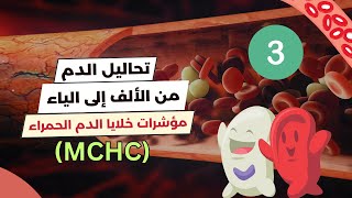 مؤشرات خلايا الدم الحمراء MCHC  تحليل الدم الشامل 🩸🔬 [upl. by Hertberg]