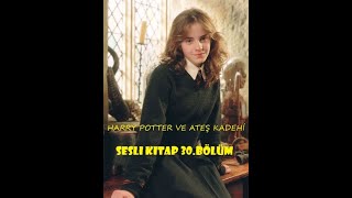 Harry Potter ve Ateş Kadehi  Bölüm 30  En İyi Sesli Kitap [upl. by Amato962]