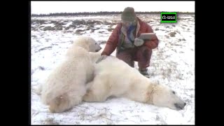 Al Cuidado de la Naturaleza Malcolm y los Osos  Documental 1991  Español Latino [upl. by Memory]