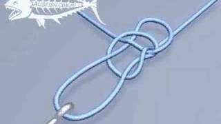 How to Tie a Perfection Loop Fishing Knot [upl. by Warfield]