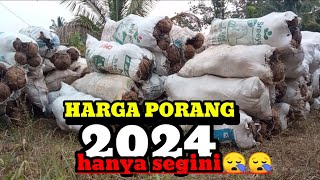 UPDATE TERBARU‼️HARGA PORANG HARI INI  HARGA PORANG 2024 [upl. by Marius]