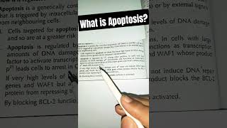 what is apoptosis apoptosis pathwaygeneticsbiologyzoologyshortsfeed shortsviral [upl. by Akirdnuhs]