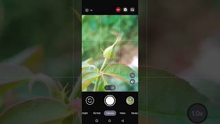 Camera Hidden tips camera shorts viralvideo trending [upl. by Elyrehc]