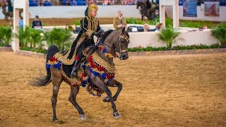 Scottsdale Arabian Horse Show  Native Costume Championship at Westworld [upl. by Cohlette]