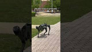 Meet Jeremy The Tactical RoboDog robodog robort militarydogs usarmy shortsvideo [upl. by Nappie]