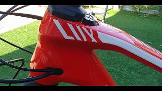 CANYON LUX CF SL 80 Pro Race 2019 [upl. by Saixela]