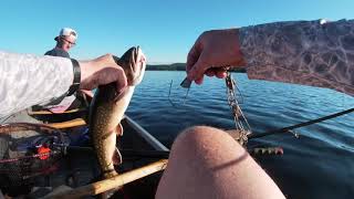 Fishing camping canoeing kayaking in Algonquin Park Lake of Two Rivers Ben nets a brook trout [upl. by Erna]