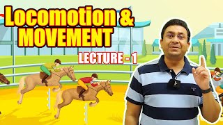 Locomotion and Movement l Lecture 1 l Biology l NEET [upl. by Zannini]