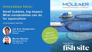 The Fish Site Webinar Small bubbles big impact  What nanobubbles can do for aquaculture [upl. by Rabka151]