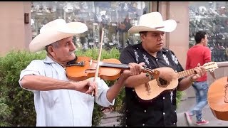 Trío Tordo Huasteco toca El Querreque en La Calle del Huapango en SLP [upl. by Dorca580]