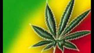 Peter Tosh  Legalize It [upl. by Annasus]