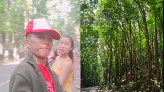 Dito kami sa Manmade Forest at Bilar Bohol subscribe shared supportmychannel [upl. by Nnahgaem]