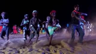 Gudarrgu Brolga Dance ft Grant Nundhirribala  Ngalmi Clan  Numburindi Festival 2016 [upl. by Ellenwad654]