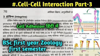 Integrin Cell Adhesion molecules  cell cell interactions [upl. by Ahsilla]