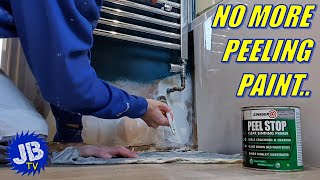 Stop Flaking Peeling Paint Now with Zinsser Peel Stop [upl. by Bonnell754]