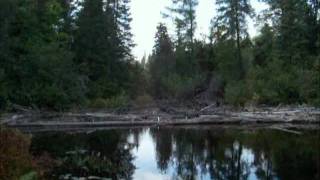 Algonquin Provincial Park Solo Canoe Trip  WaterClear Lake  Sept1415 2011 [upl. by Alliuqat]