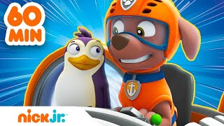 Paw Patrol  La Squadra dei Cuccioli  1 ORA dei migliori salvataggi di animali  Nick Jr [upl. by Uticas]