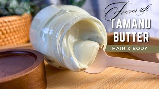 ✨How I Made Body Butter that stays Silky amp Soft Forever  DIY Tamanu Hair amp Body Butter [upl. by Eisset714]